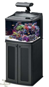 Oceanic 29 Gallon BioCube HQI Aquarium