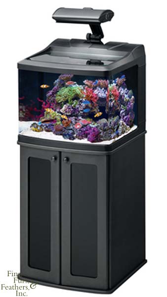 Oceanic BioCube HQI Aquarium & Stand (29 Gallon)